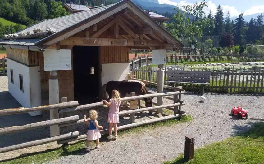 Summer Ponies at Hotel Forsthofgut with The Little Voyager