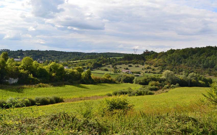 Fields to Explore in Midi Pyrenees