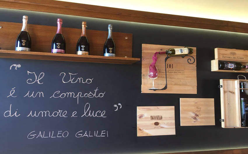 Italian Vineyards in Tuscany with The Little Voyager