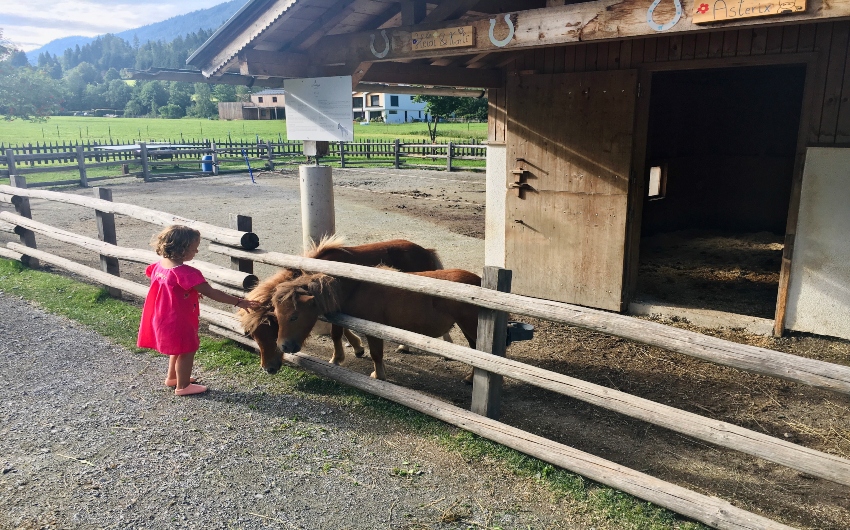 Girl petting animals at Forsthofgut