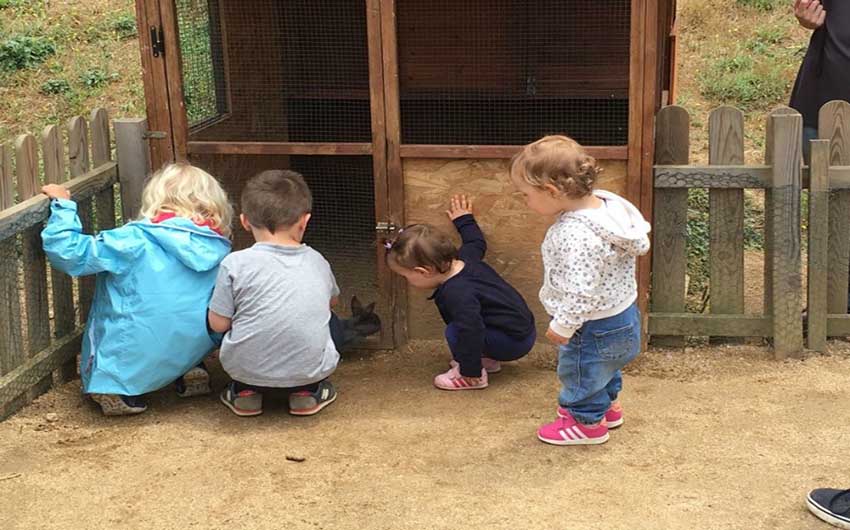 Can Parpers Rabbits with The Little Voyager