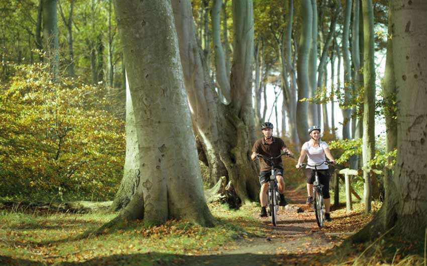 Riding Bikes at Heiligendamm with The Little Voyager