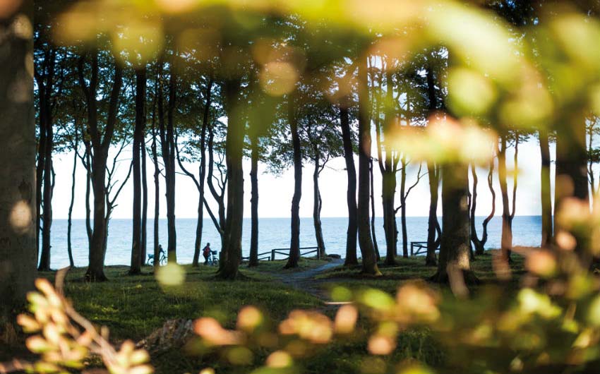 Heiligendamm Forest Seaview with The Little Voyager