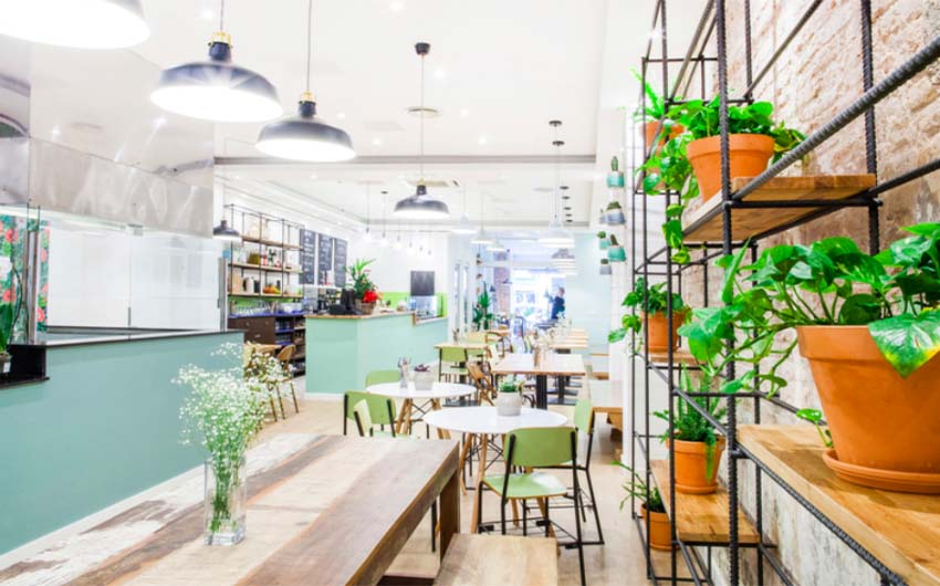 Restaurant Foodies in Poblenou with The Little Voyager