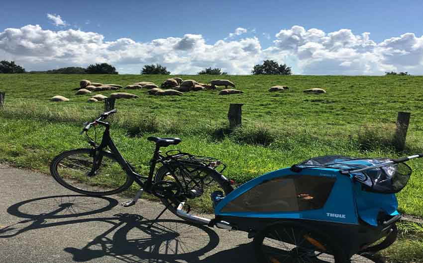 Schleswig Bike with The Little Voyager