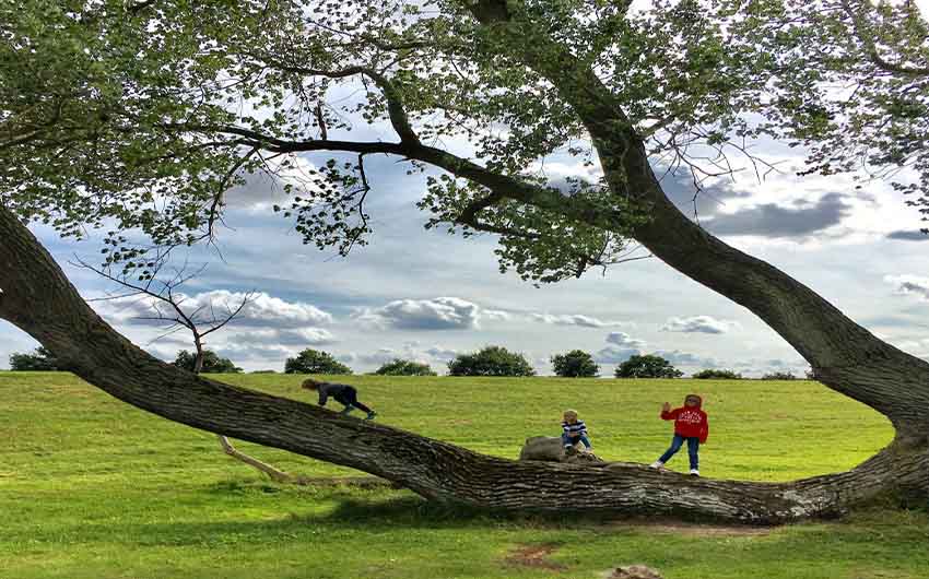 The Scenery around Schleswig with The Little Voyager