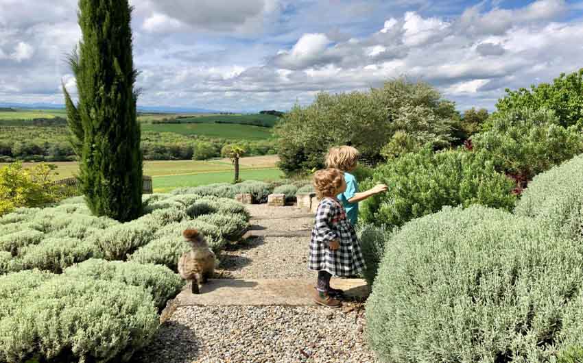 Boutique Cottages Gardens with The Little Voyager