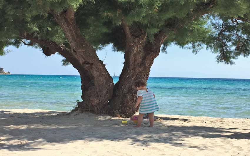Trees on the Sani Beach Front with The Little Voyager
