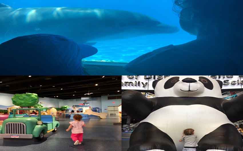 Fort Lauderdale Activities for Families with The Little Voyager