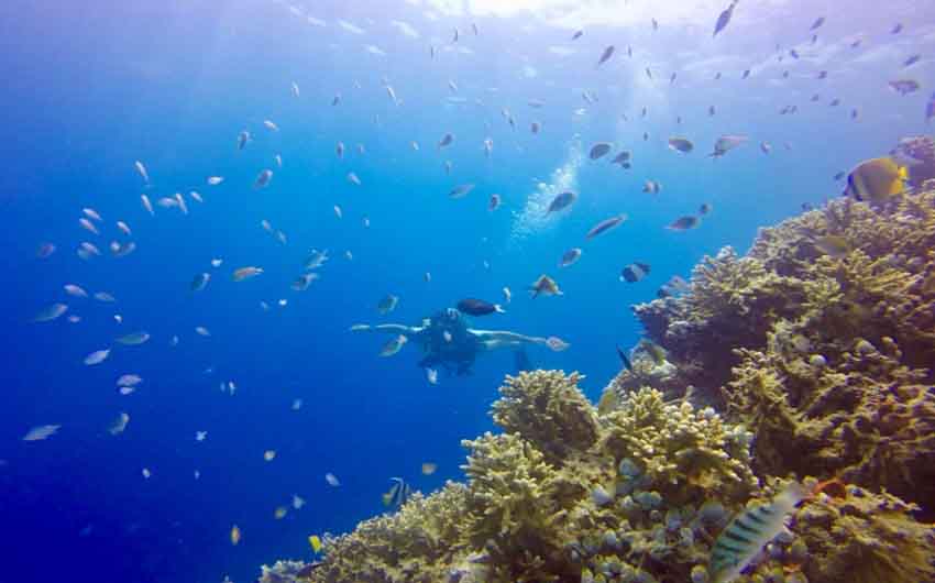 Dhaalu Atoll, Maldives