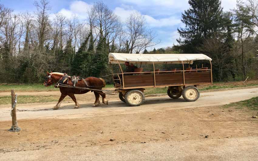 Catalan Rural Escape Horse Riding with The Little Voyager