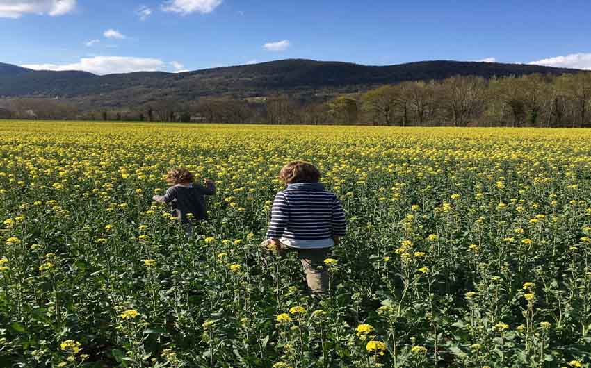 La Garrotxa Summer Fields with The Little Voyager