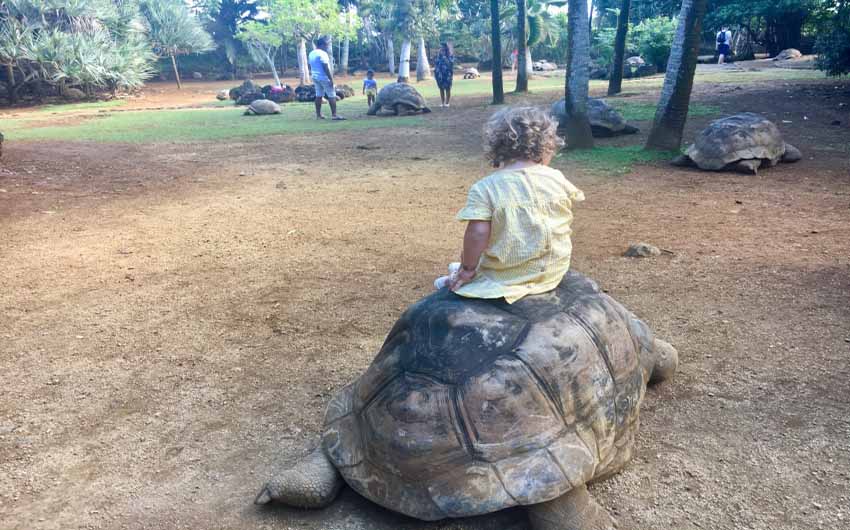 Mauritius Zoo with The Little Voyager