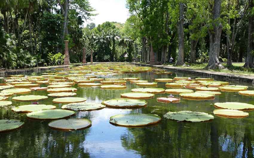 St Regis Resort in Mauritius Zoo with The Little Voyager