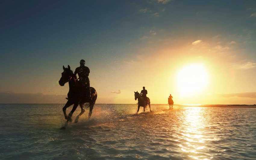 Lux Belle Mare Resort Horse Riding with The Little Voyager