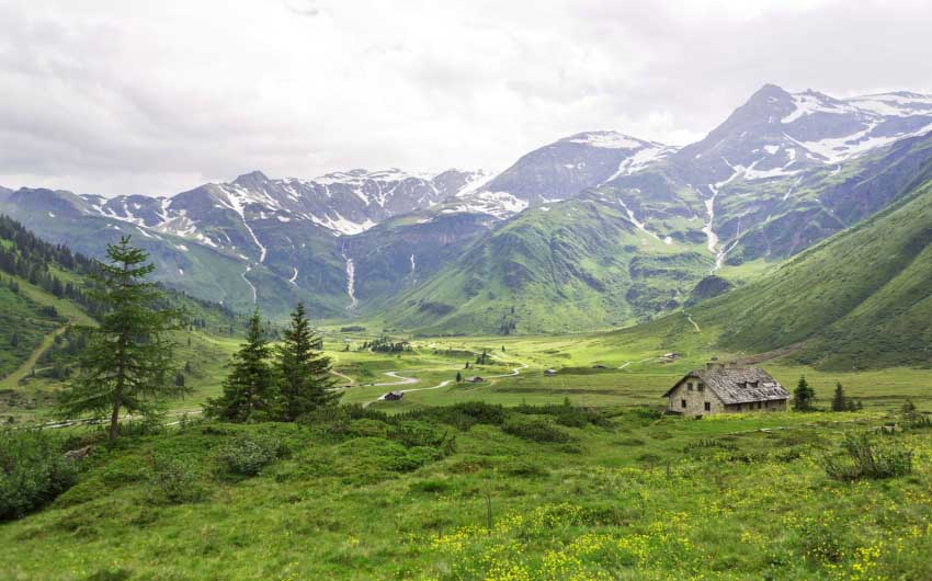 Salzburger Land Summer Fields with The Little Voyager