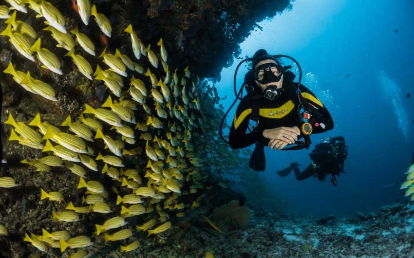 Niyama Private Islands Diving with The Little Voyager