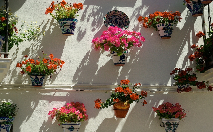 Wall with flowers in Andalusia