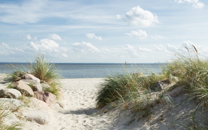 Beach at Baltic Sea Escape