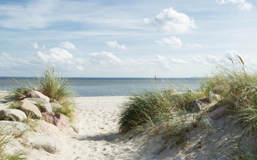 Baltic Sea Escape Beach with The Little Voyager