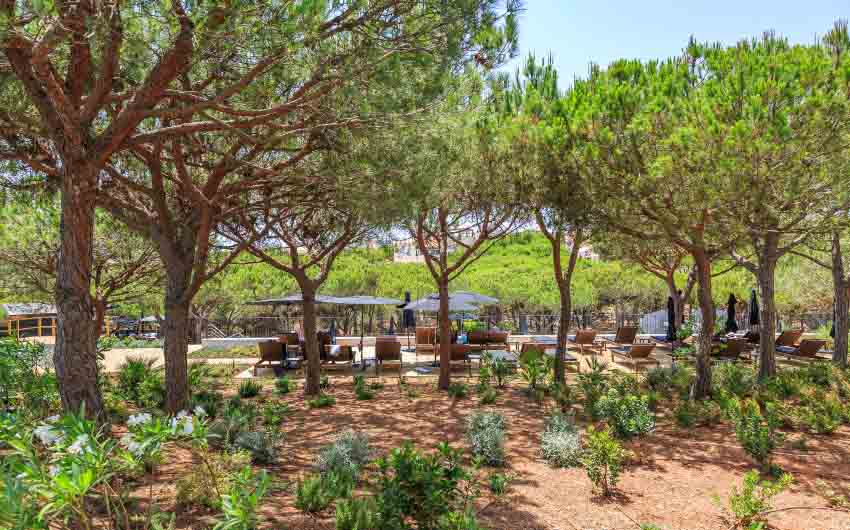 Algarvian Boutique Hotel Gardens with The Little Voyager
