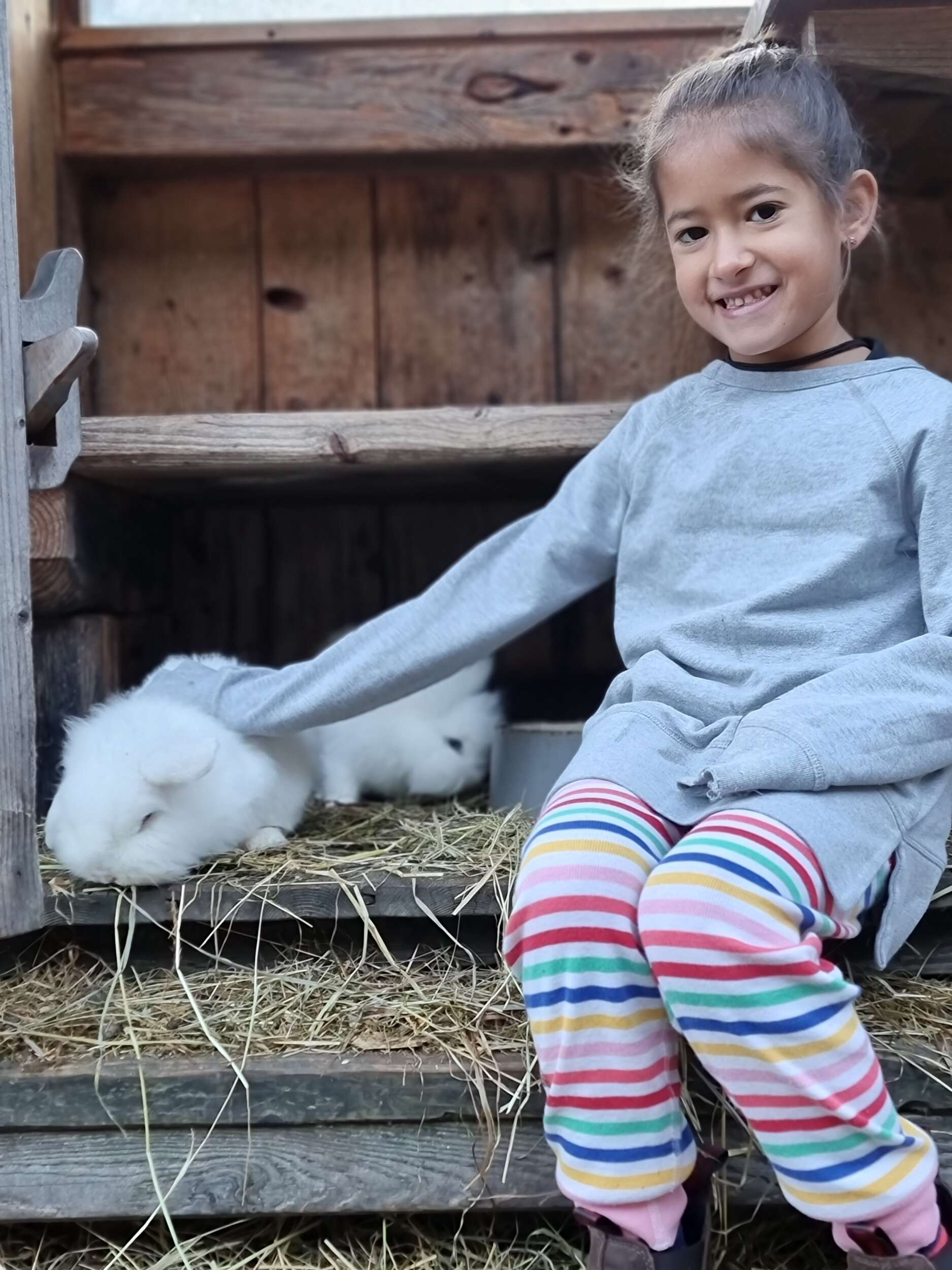 Girl petting rabbits at the Austrian Countryside Chalets