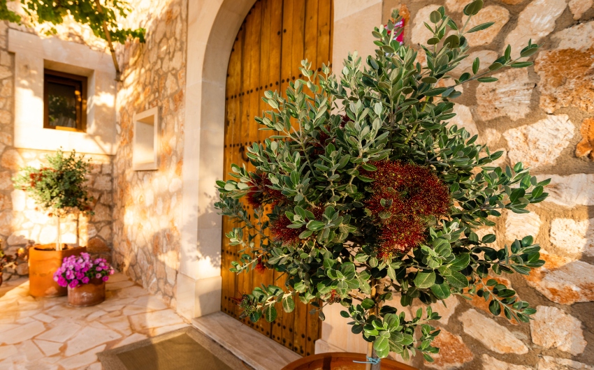 Main Entrance at the Mallorcan Family Hotel