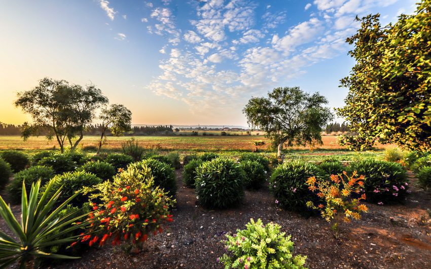 Garden at the Mallorcan Family Hotel