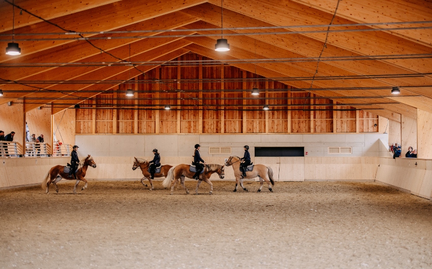 Horse riding arena at Naturhotel Forsthofgut