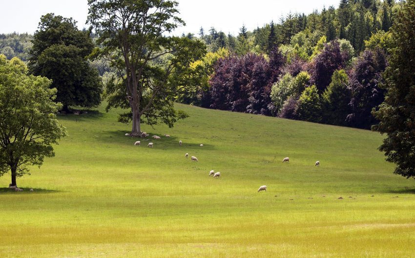 South downs National Park