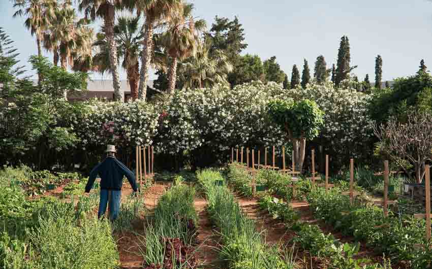 Cretan Nature Resort Herb Garden with The Little Voyager