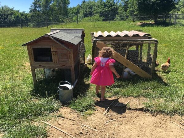 Girl looking at chickens at the French Hamlet