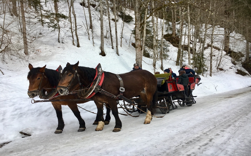 Horse-drawn sleigh rides at Hotel Forsthofgut