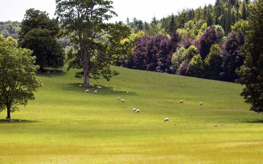 The South Downs in West Sussex with The Little Voyager