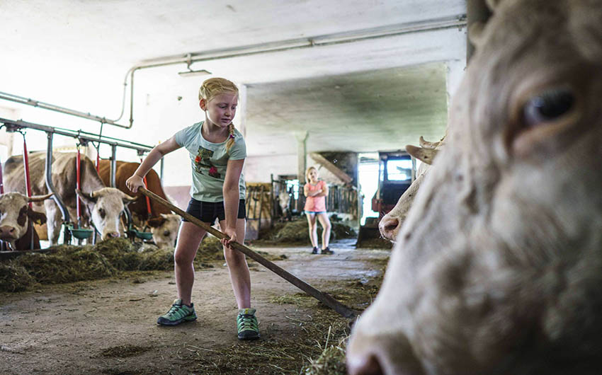 The Bavarian Farm Life with The Little Voyager