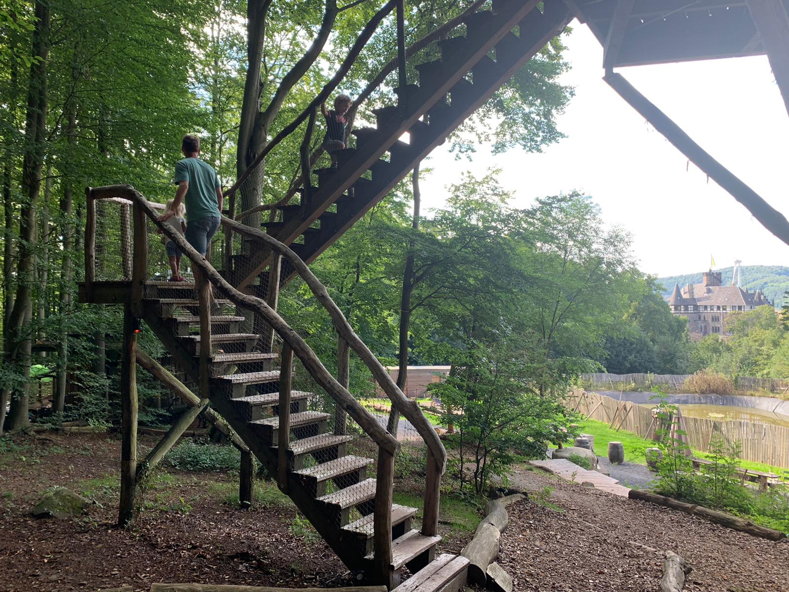 Climbing up to a treehouse at the German Treehouses