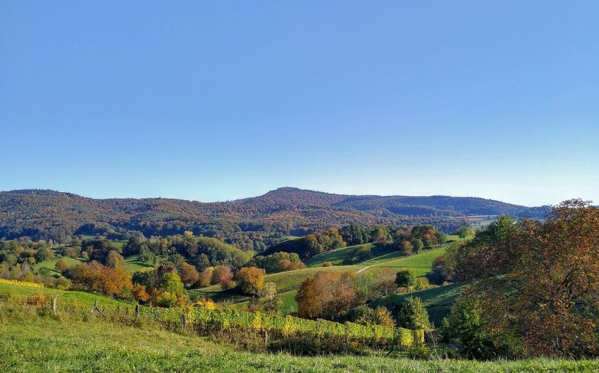 Hessen Nature scenery