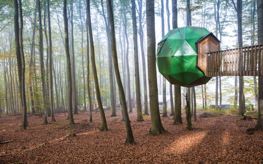 Ball house at the German treehouses