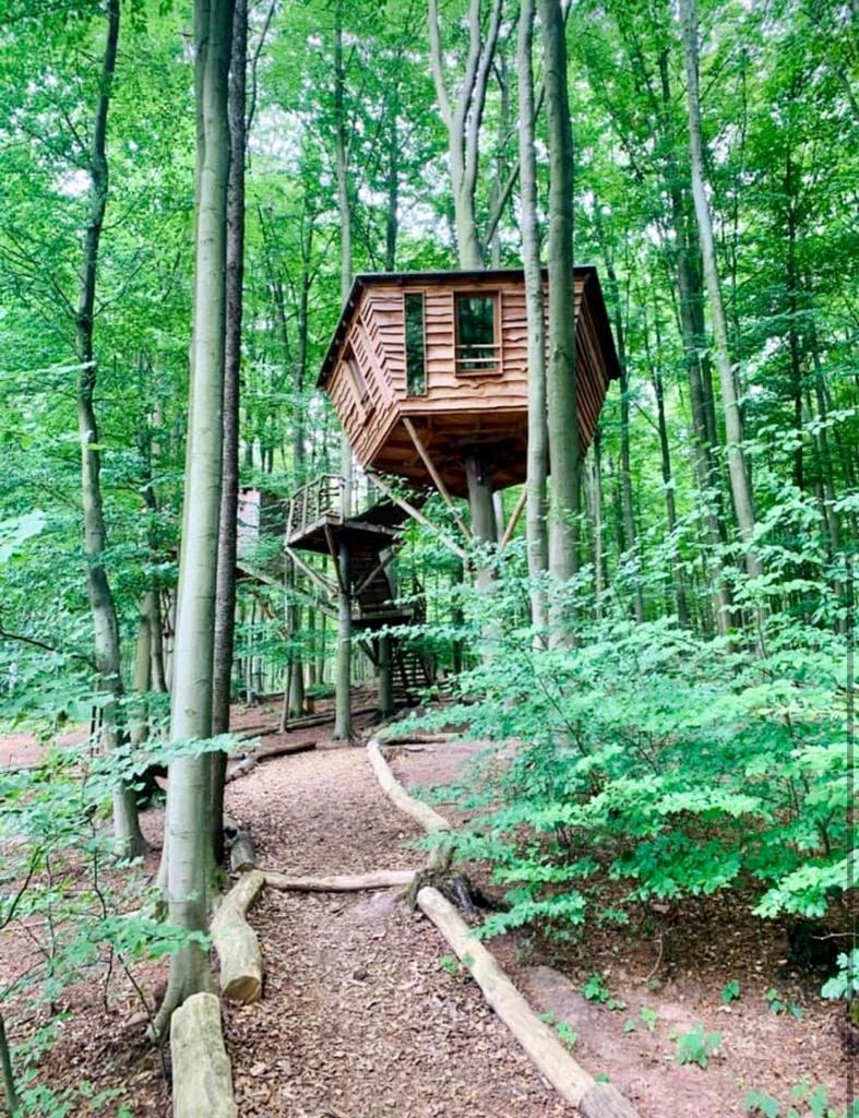 Stilt house at the German Treehouses