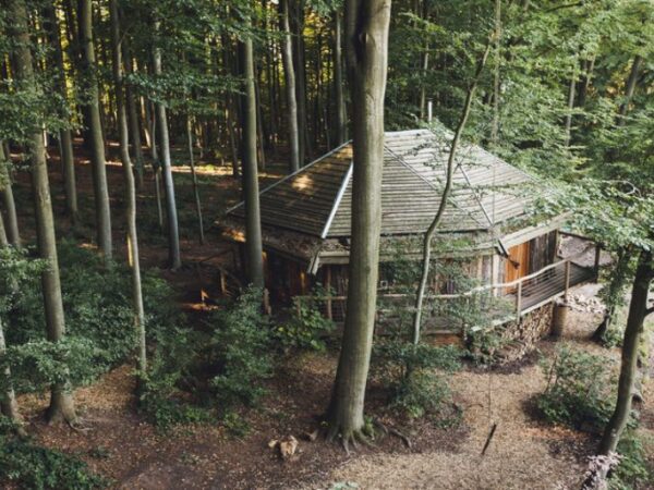 House at the German Treehouses