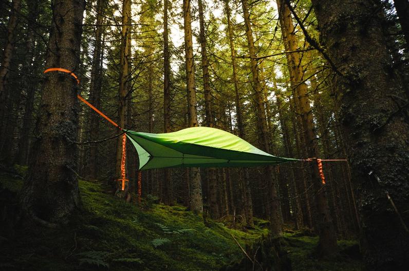 a tent pitched on three trees