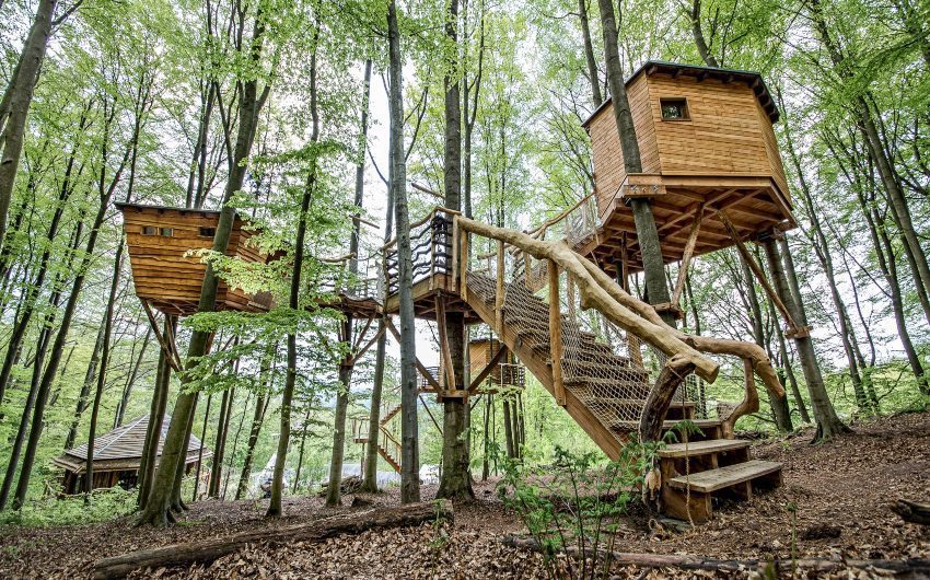 treehouses in forest
