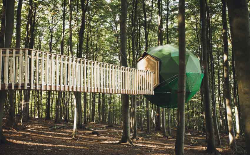 German Treehouses Ball Room Exterior with The Little Voyager