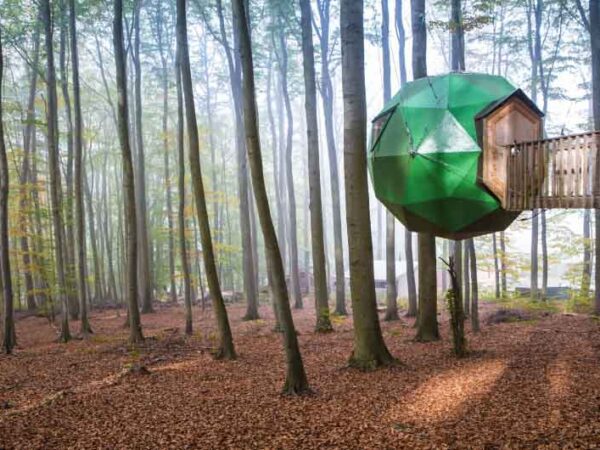 German Treehouses Exterior with The Little Voyager