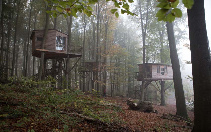 German Treehouses in the Fog with The Little Voyager