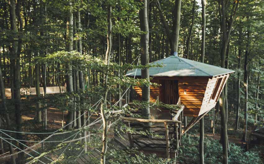 German Treehouses Outdoors with The Little Voyager