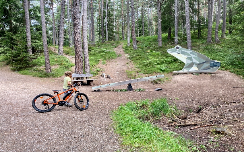 Boy with e-bike in the woods around the South Tyrolean Art Nouveau Hotel