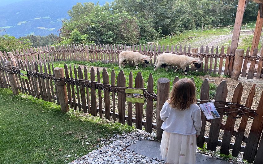 Girl looking at sheep at petting zoo at the South Tyrolean Panorama Retreat