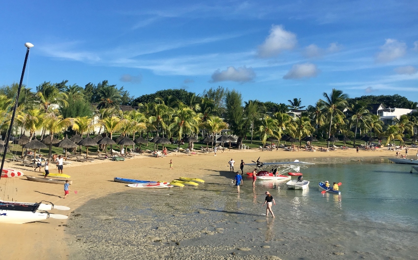 people on a beach surrounded by palm trees