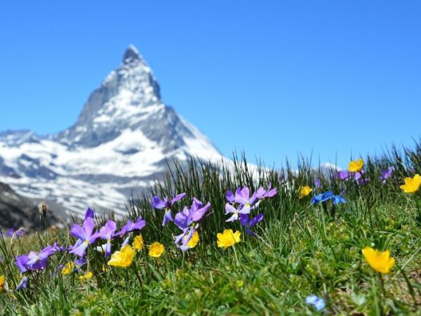 Swiss landscape
